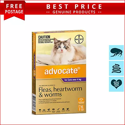 ADVOCATE Monthly Flea Heartworm Worm Control 6 Doses For Cats Over 4 Kg PURPLE • $79.93