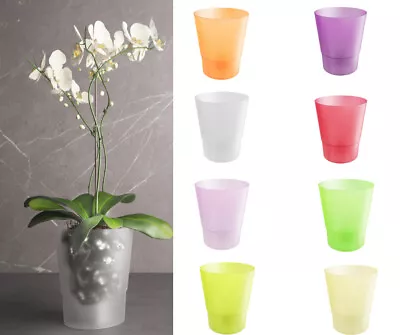 Plant Orchid Pot Plastic 8 Colours Matte Oval Planter Transparent Clear • £4.99