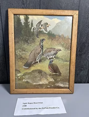 Lynn Bogue Hunt Vintage Du Pont Print Bob White Quail 1948 Framed • $29.99