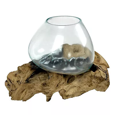 XL Clear Molten Glass On Teak Driftwood Base Decorative Bowl Vase Terrarium • $79.99