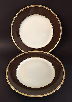 RARE Vintage Richard Ginori B-4 Italy Contessa Brown Dinner Plates 10’’ Set Of 2 • $70