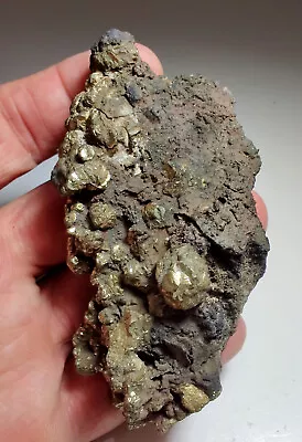 Pyrite Crystals On Magnetite Rare. Pilot Knob Missouri. 190 Grams. Video. • $19.99