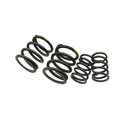 Exhaust Inlet Valve Springs For YX 150cc 160cc Engine Pit Dirt Bike • $15.37