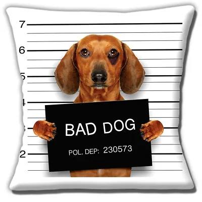 £10.95 • Buy Dachshund Dog Cushion Cover T16 Inch 40 Cm