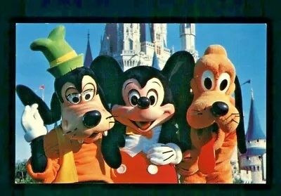 Postcard Disney World Goofy Mickey Mouse Pluto Greet Magic Kingdom Guests. I2 • $3.99