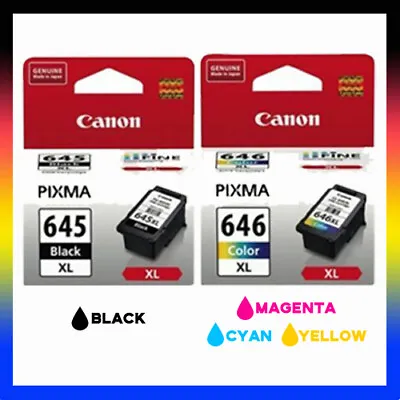 2x Canon Genuine High Capacity Ink PG645 CL646  645 646 MG 2560 MG 2460 Printer • $60.90