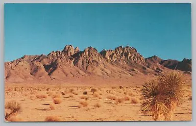 $2.50 • Buy Las Cruces Texas~Organ Mountains On Desert~Vintage Postcard