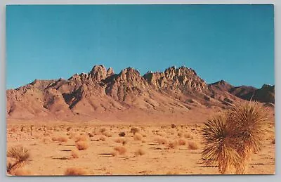 Las Cruces Texas~Organ Mountains On Desert~Vintage Postcard • $1.60