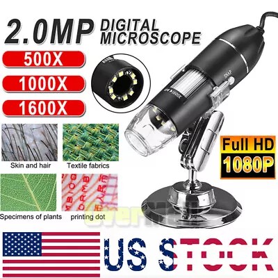 $25.93 • Buy 1000X/1600X 8 LED USB Zoom Digital Microscope Hand Held Biological Endoscope US