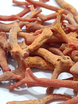 50ct Natural Rough Red Coral Branches Tree Raw Coral Mediterranean Sea Coral • $29.99