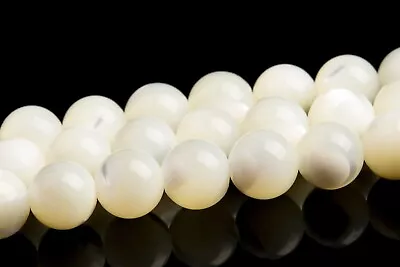 6MM White Trochidae Shell Beads Round Gemstone Loose Beads • $7.99