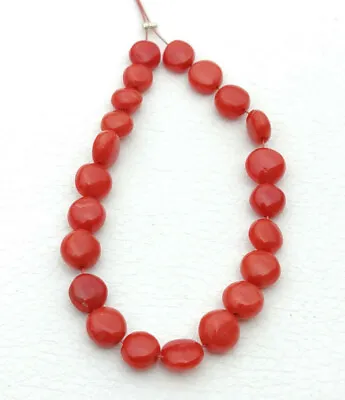 4  Inc Italian Coral Beads Undyed Smooth Loose Mediterranean Sea Coral Beads • $19.99