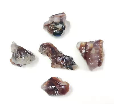 117Cts. Natural Mexican Fire Agate High Polish Rough Gemstone Lot Jewelry Making • $17.99