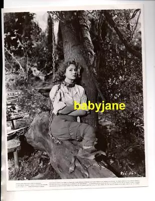 Virginia Mayo Original 8x10 Photo Chained To A Tree 1950 Flame And The Arrow • $24.99