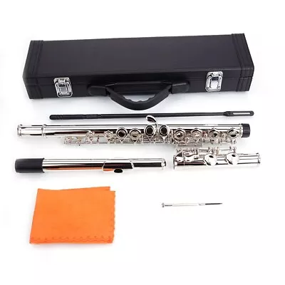 Nickel Plated C Closed Hole Concert Band Flute With E Key • $139.99