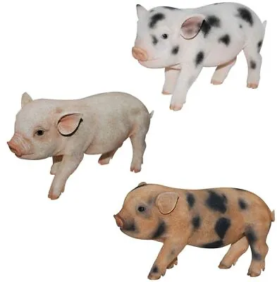 Micro Pig Piglet - Lifelike Ornament Gift - Indoor Or Outdoor - Pet Pals NEW • £22.99
