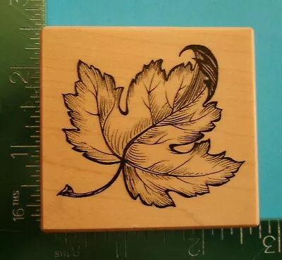 PSX MAPLE LEAF Rubber Stamp F-2781  Tree Fall Leaves • $5.56