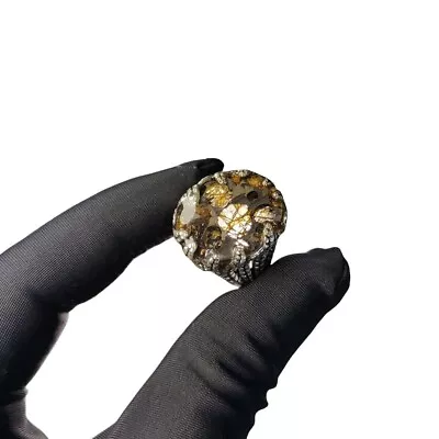 925 Sterling Silver PALLASITE Meteorite Ring Part Slice Adjustable Ring TB306 • $87.22