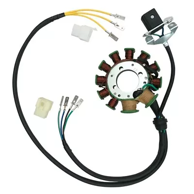 11 Coil Lifan Engine Magneto Generator Stator 200cc 250cc Go Kart Kick Start ATV • $45.98