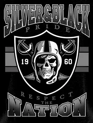 2 Las Vegas Raiders Silver & Black Nation Vinyl Stickers 5x3.5 Car Decal Oakland • $4