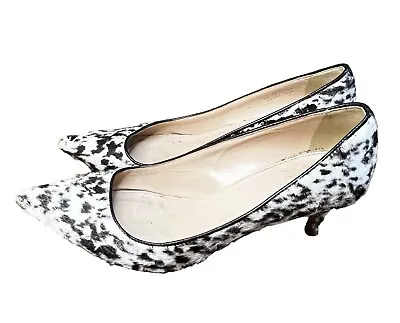 J.Crew Collection Dulci Printed Calf Hair Kitten Heels Pump Casual Women’s 6 • $44.99