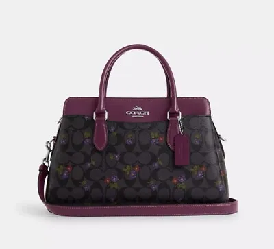 NWT Coach CM077 Darcie Carryall In Signature Canvas With Country Floral Print  • $244.99