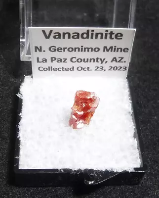 Vividly Red  Hoppered  Vanadinite Crystal North Geronimo Mine La Paz Co. Arizona • $19.99