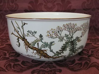 Villery & Boch Botanica China 7-3/4  Round Vegetable Bowl - Excellent! • $39.99