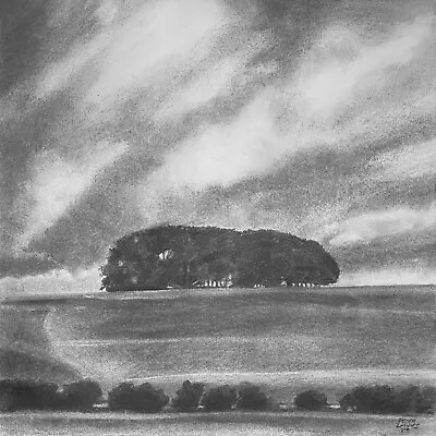 Original Charcoal Drawing On Paper. 42cm X 42cm. 'Wiltshire Copse'. Not A Print. • £260