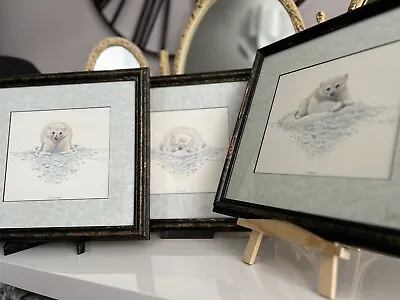 £30 • Buy A Beautiful Set Of 3 Warwick Higgs Polar Bears In A Lovely Vintage Style Frame
