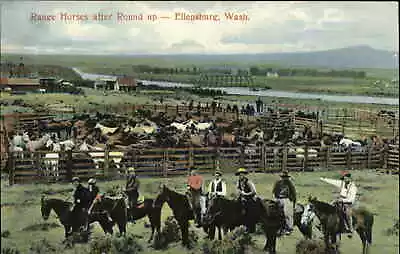 Ellensburg Washington WA Cowboys Range Horses C1910 Postcard • $7.91