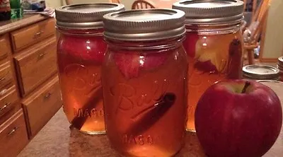 Moonshine Still Flavors 30 Recipes Apple Pie Peach Pie Sour Cherry + Many More • $8.50