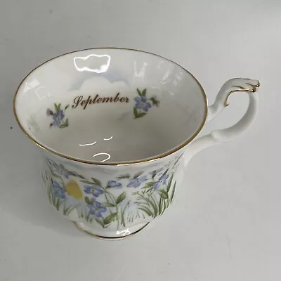 $24.99 • Buy Vintage Royal Albert Wild Flower Of The Month September Tea Cup ONLY Bone China