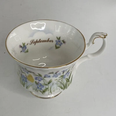 $24.99 • Buy Vintage Royal Albert Wild Flower Of The Month September Tea Cup ONLY Bone China