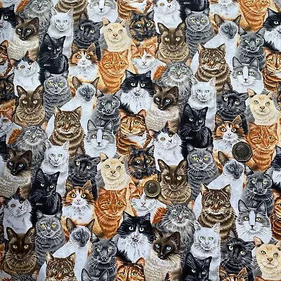 Kitty Cats Print 100% Craft Cotton Fabric For Pet Accessory Crafting Quilting UK • £5.25