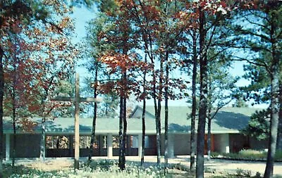 Shrine In The Northwoods Lily Of The Mohawks Church MI Vintage Chrome Post Card • $10.35