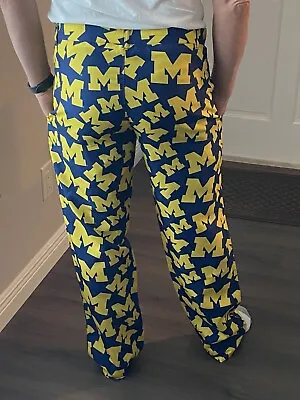 Michigan Wolverines Pants MENS • $40