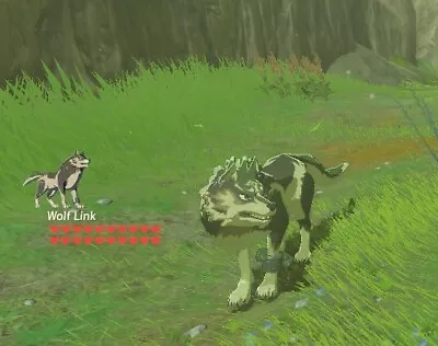 $12.99 • Buy 20 Heart Wolf Link Amiibo Coin Amiiqo Breath Of The Wild - NOT Figurine/statue 