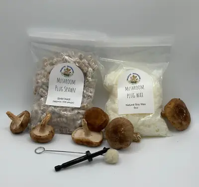 Shiitake Mushroom Plug Spawn 100x & Drill Bit/wax Combo Pack - FREE USA Shipping • $25