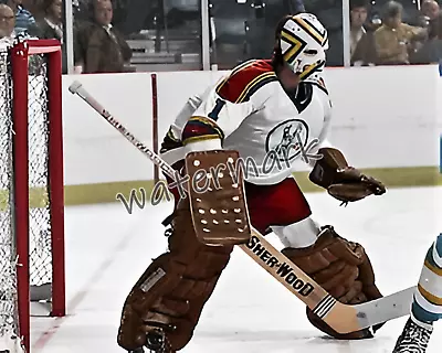 $5.57 • Buy NHL Kansas City Scouts Goalie Denis Herron Game Action Color 8 X 10 Photo Pic