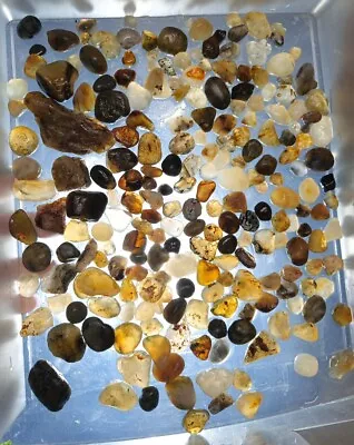 (R4) Oregon Coast Agates For Tumbling/Collecting/Jewelry • $46