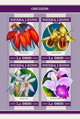 Orchids MNH Stamps 2018 Sierra Leone M/S • $15.95