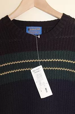 NWT Pendleton -Sz M Chief Blanket Indian Stripe Cotton Knit Crewneck Sweater • $124.99