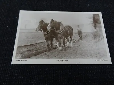 Social History Postcard Horses Ploughing Farming - 82541 • £1.50