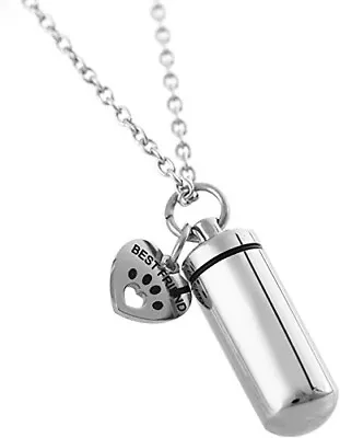 Pet Paw Heart Charm & Cylinder Memorial Urn Necklace Stainless Steel Jewelry US • $5.99