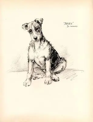 1933 Lovely Vintage Dog Print Original Pen & Pencil Sketch By K.F. Barker • £7.75