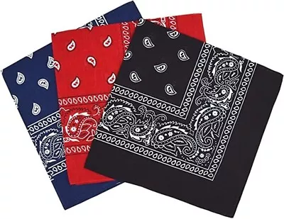 Unisex Bandana Paisley Mouth Protection Headband Head Wear Wrap Band Scarf Neck • $4.19