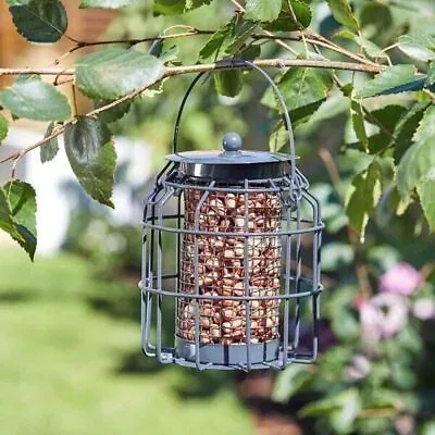 Garden Bird Feeder Peanut Hanging Cage Squirrel Proof Outdoor Decor Metal Small • £6.99