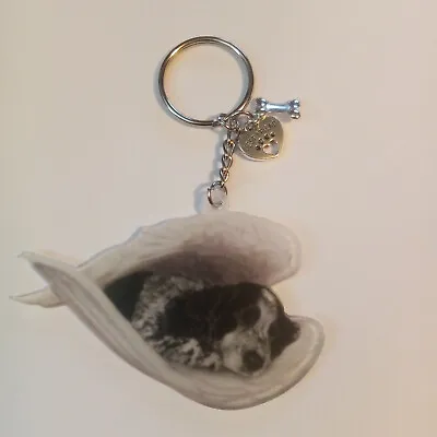 Keyring Black & White Cocker Spaniel Sleeping Dog & Bone Acrylic 3d Keyring Gift • £5.99