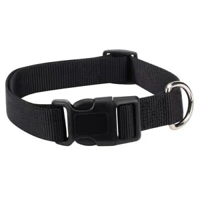 $6.60 • Buy Zack & Zoey Dog Collar Adjustable Jet Black 14-20  Neck 5/8  Wide Medium